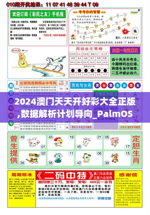 2024澳门天天开好彩大全正版,数据解析计划导向_PalmOS16.661