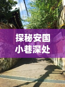 探秘安国小巷的独特风味，揭秘历史背后的新闻故事——安国新闻回顾之十二月十八日