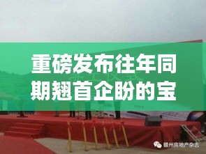 宝坻叉车精英招募盛会，揭秘最新科技革新与超凡体验之旅