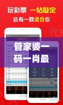 管家婆一码一肖最准一肖353期,深入执行数据方案_Galaxy1.498