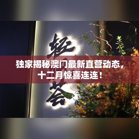 独家揭秘，澳门十二月最新直营动态惊喜连连！