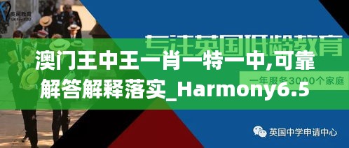 澳门王中王一肖一特一中,可靠解答解释落实_Harmony6.547