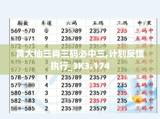 黄大仙三肖三码必中三,计划反馈执行_3K3.174