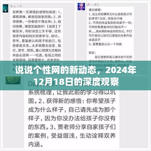 个性网深度观察，最新动态与趋势分析（2024年12月18日）