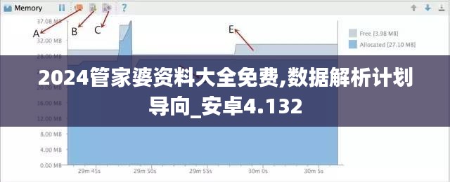 2024管家婆资料大全免费,数据解析计划导向_安卓4.132