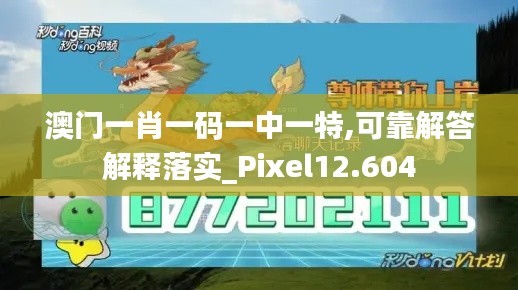 澳门一肖一码一中一特,可靠解答解释落实_Pixel12.604