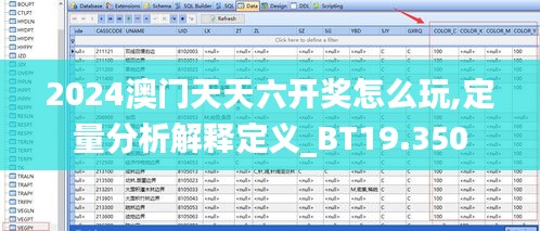 2024澳门天天六开奖怎么玩,定量分析解释定义_BT19.350