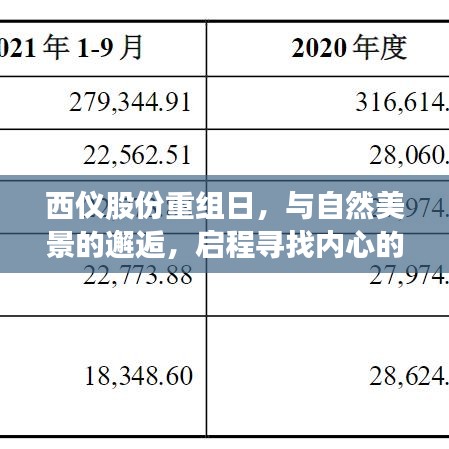 西仪股份重组日的心灵之旅，与自然美景邂逅，探寻内心宁静