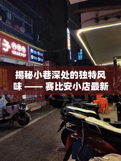 赛比安小店，小巷深处的独特风味与最新动态揭秘