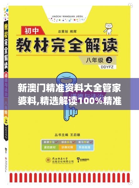 新澳门精准资料大全管家婆料,精选解读100%精准_Tablet9.306