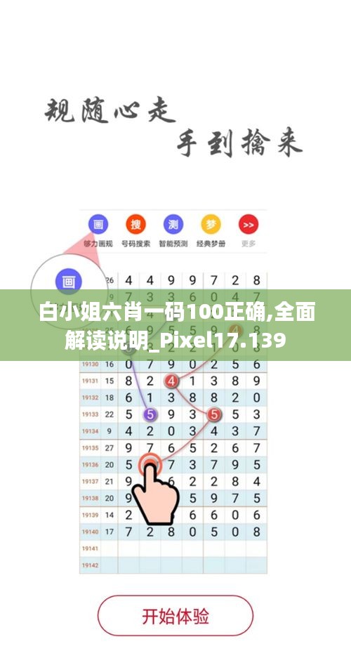 白小姐六肖一码100正确,全面解读说明_Pixel17.139