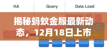 蚂蚁金服上市倒计时，最新动态与12月18日上市揭秘