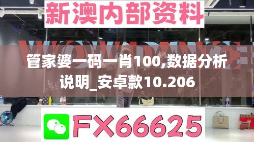 管家婆一码一肖100,数据分析说明_安卓款10.206