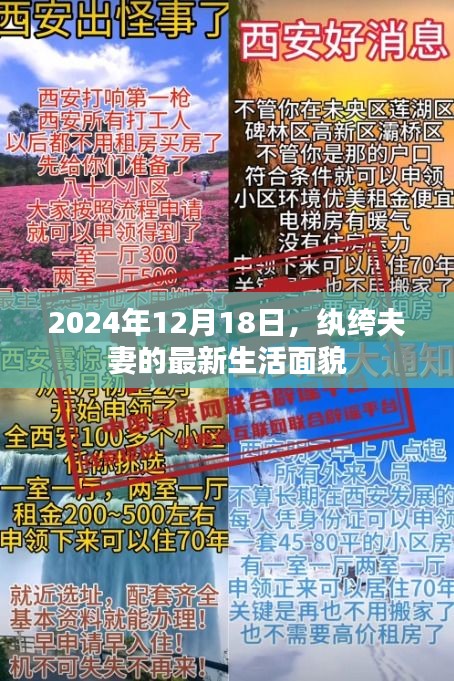 纨绔夫妻2024年最新生活面貌揭秘