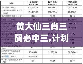 黄大仙三肖三码必中三,计划反馈执行_3K3.174