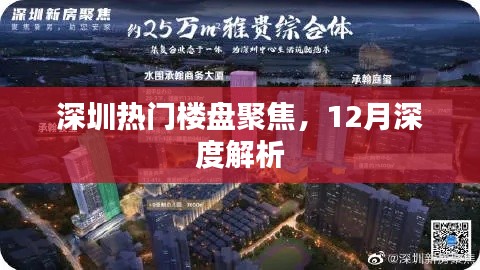 深圳热门楼盘深度解析，12月聚焦报告