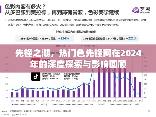 先锋之潮深度探索与影响回顾，热门色先锋网在2024年的独特视角