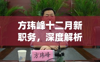 方玮峰十二月新职务揭秘，深度解析与多方观点探讨