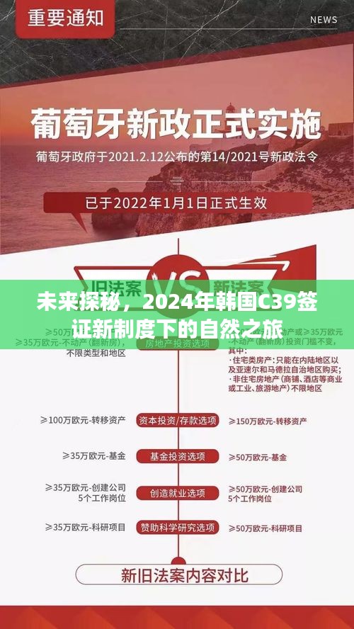 揭秘新制度下的韩国之旅，C39签证下的自然探秘之旅（2024年）