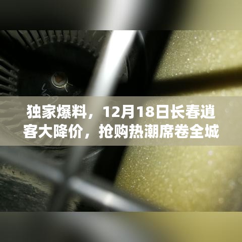 展翅高飞