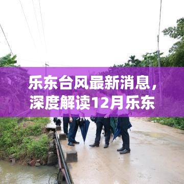 乐东台风最新消息及深度解读天气预报与应急准备指南