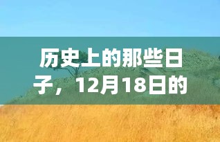 2024年12月20日 第10页