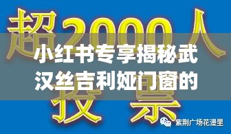 小红书独家揭秘，武汉丝吉利娅门窗的艺术盛宴与非凡魅力（特别报道）