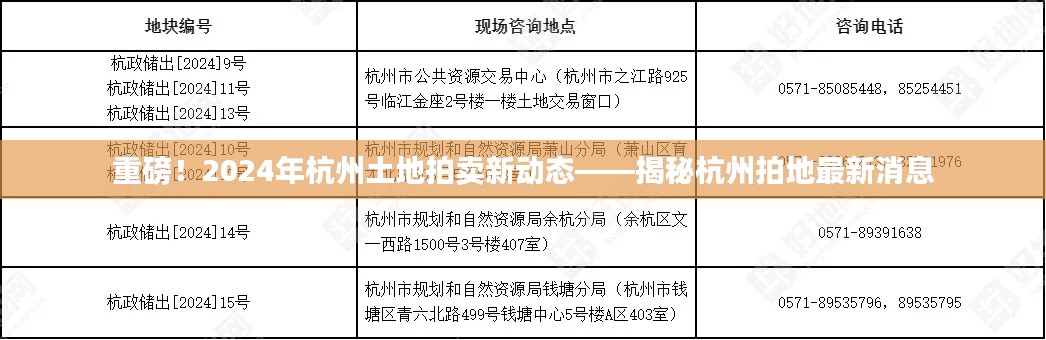 揭秘杭州土地拍卖新动态，2024年最新拍地消息重磅来袭！