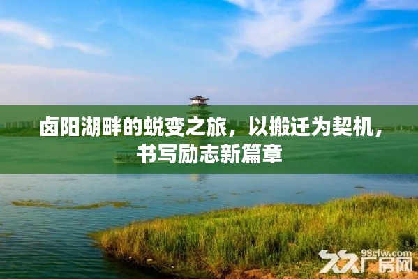 卤阳湖畔的蜕变之旅，搬迁新篇章，励志人生启航之路