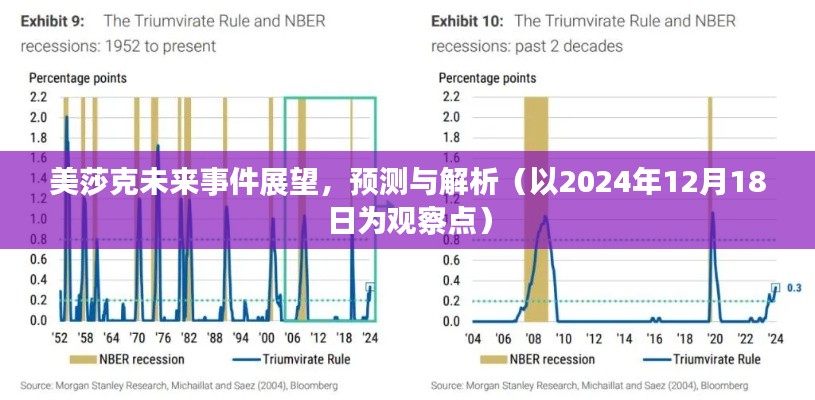 美莎克未来事件展望，深度解析与预测（以2024年观察点观察）