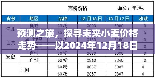 预测之旅，探寻未来小麦价格走势（以2024年预测为例）