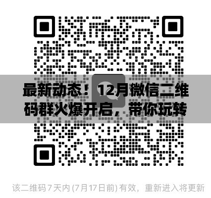 12月微信二维码群新动态，引领社交新潮流的火爆开启！