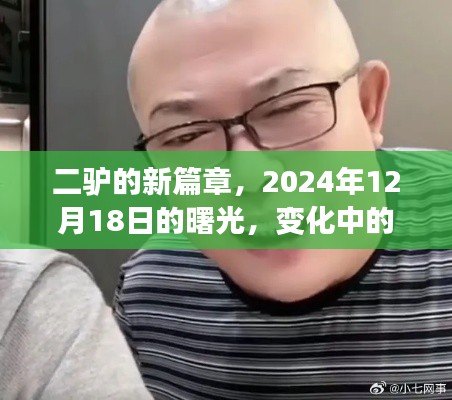 二驴的自信之旅，曙光中的学习与变革篇章，2024年12月18日新篇章开启