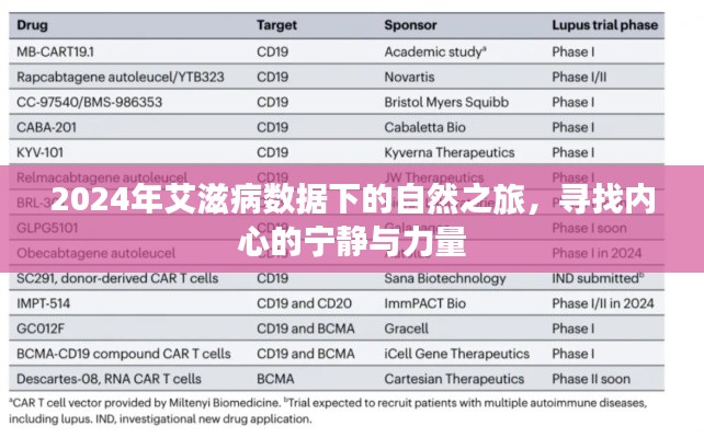 2024年艾滋病数据下的心灵之旅，自然与内心的力量与宁静