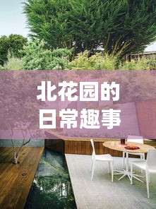 北花园温馨日常趣事，2024年12月18日的时光印记