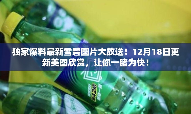 独家揭秘！最新雪碧美图大放送，美图欣赏尽在12月18日更新！