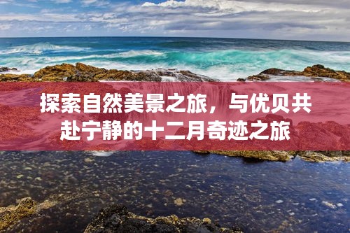 优贝带你共赴宁静十二月奇迹之旅，自然美景探索之旅