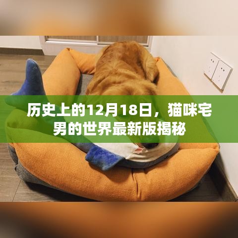 猫咪宅男世界最新版揭秘，历史性的12月18日揭秘