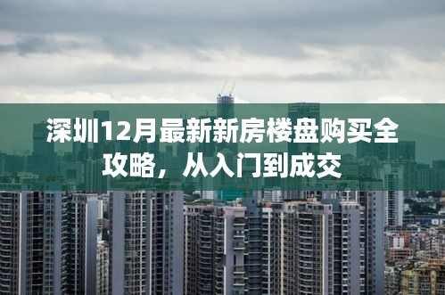 深圳新房楼盘购买全攻略，从入门到成交指南（12月最新）