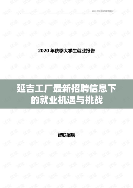 延吉工厂最新招聘信息，就业机遇与挑战解析