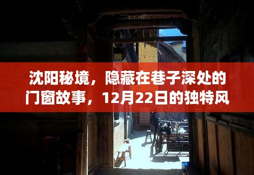 沈阳秘境，巷子深处的门窗故事，12月22日独特风情揭秘