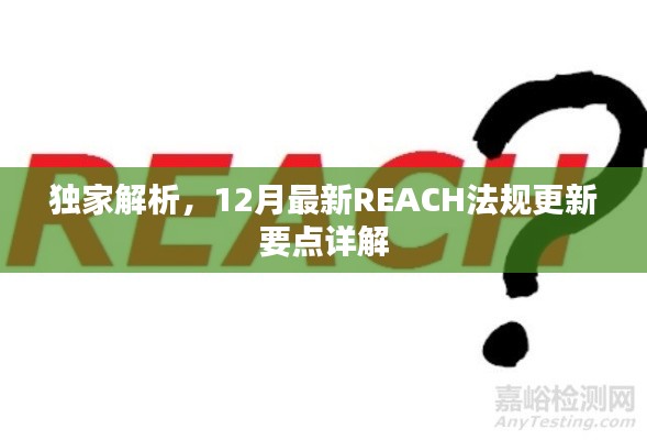 独家解析，最新REACH法规更新要点详解（附最新解读）