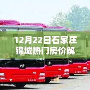 石家庄锦城热门房价走势解析，最新数据揭示