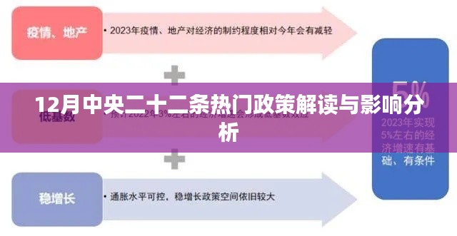 中央二十二条热门政策解读与深度影响分析，聚焦十二月政策动向