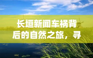 长垣新闻车祸背后的心灵之旅，寻找宁静港湾