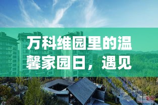 万科维园温馨家园日，遇见美好售价，共筑友情与陪伴的时光