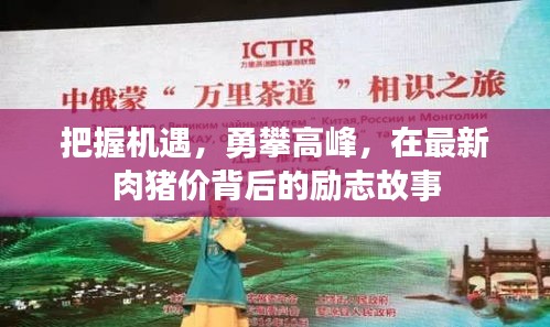 励志故事，肉猪价背后的机遇与挑战，勇攀高峰的奋斗之路