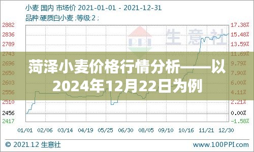 菏泽小麦价格行情解析，以2024年12月22日市场趋势为中心