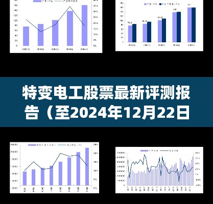 特变电工股票评测报告（截至2024年12月22日）