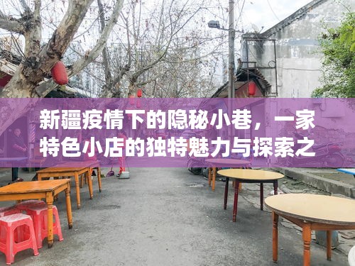 新疆疫情下隐秘小巷的特色小店，独特魅力与探索之旅